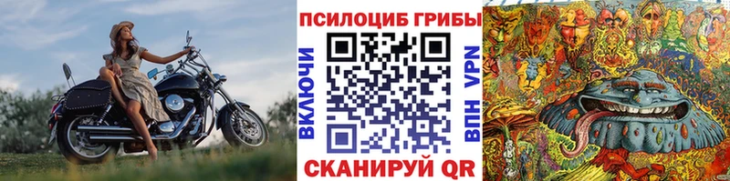 дарнет шоп  Минеральные Воды  Галлюциногенные грибы Cubensis 