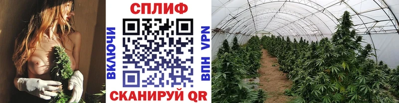Каннабис MAZAR  наркошоп  Минеральные Воды 